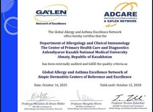 International Audit 2